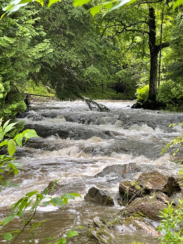 Camp Down by the River